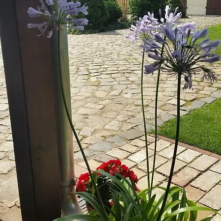 Apartment Dirk Laurisch