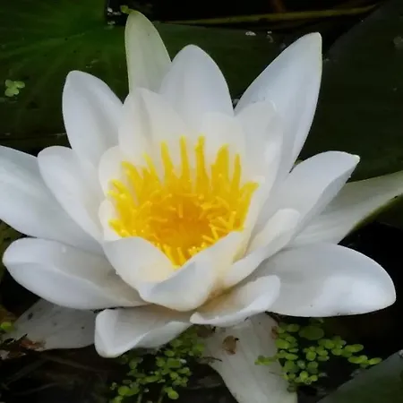 Dirk Laurisch شقة Radensdorf