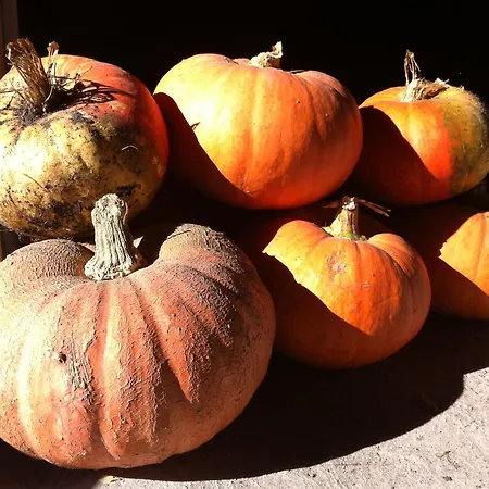 Lägenhet Dirk Laurisch