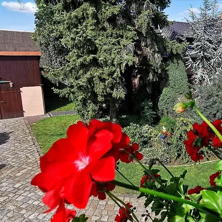 Апартаменты Dirk Laurisch *