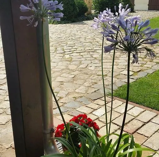 Lejlighed Dirk Laurisch