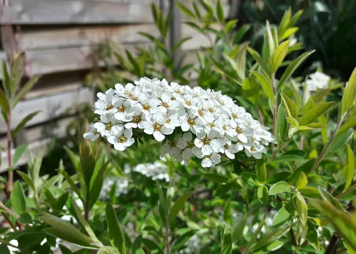 Dirk Laurisch Radensdorf