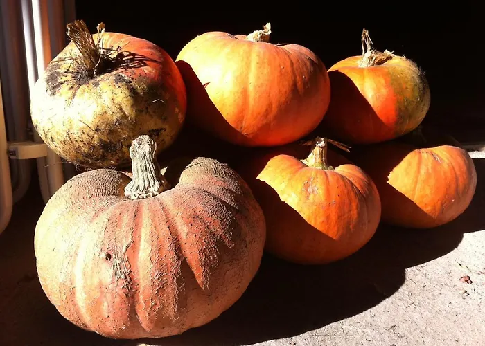 Lejlighed Dirk Laurisch